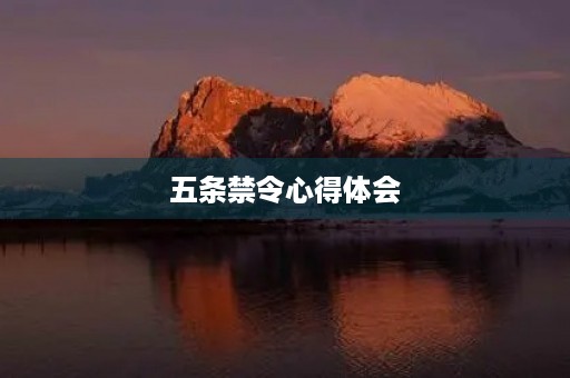 五条禁令心得体会