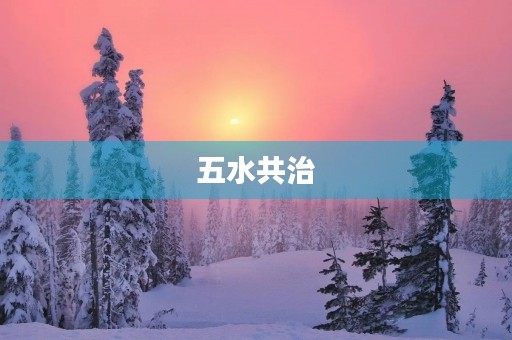 五水共治，共建美丽中国