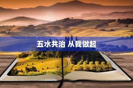 五水共治 从我做起，从我家做起900字 三年级作文