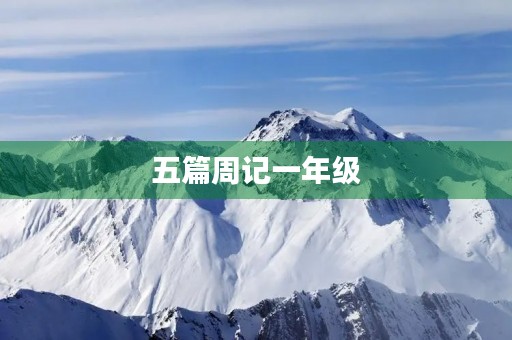 五篇周记一年级 五篇周记一年级
