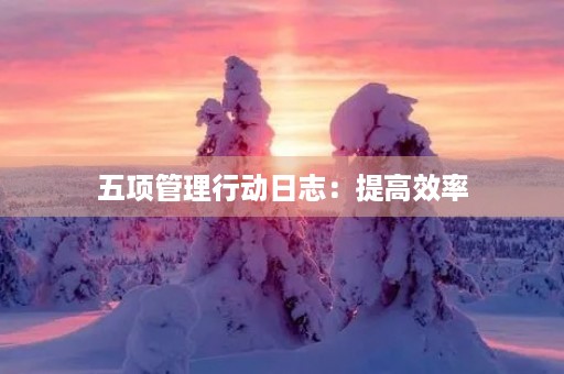 五项管理行动日志：提高效率，实现目标