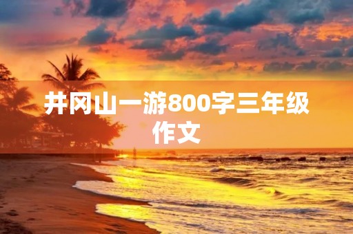 井冈山一游800字三年级作文 井冈山一游800字三年级作文