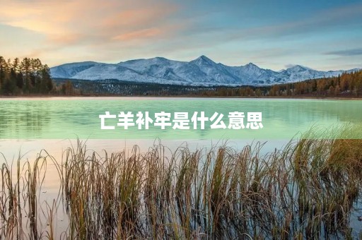 亡羊补牢是什么意思