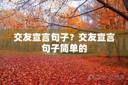 交友宣言句子？交友宣言句子简单的