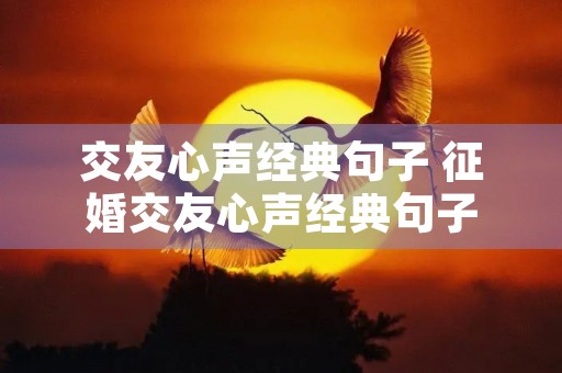 交友心声经典句子 征婚交友心声经典句子 交友心声经典句子 征婚交友心声经典句子
