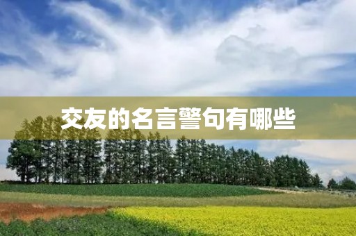 交友的名言警句有哪些(关于交友的名言警句有哪些)