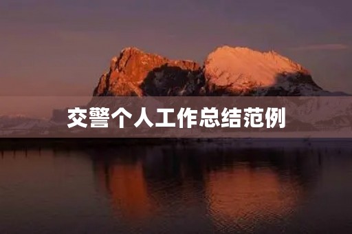交警个人工作总结范例