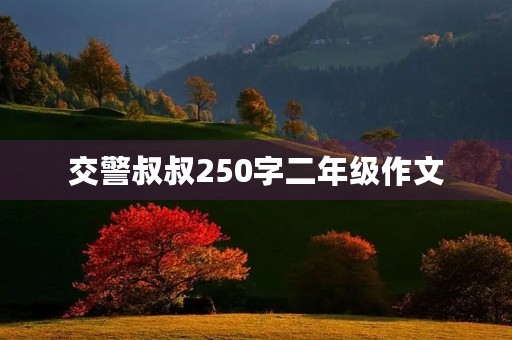 交警叔叔250字二年级作文 交警叔叔250字二年级作文