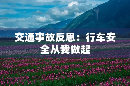 交通事故反思:行车安全从我做起 交通事故反思:行车安全从我做起