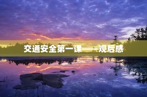 交通安全第一课——观后感 交通安全第一课——观后感