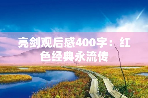亮剑观后感400字：红色经典永流传