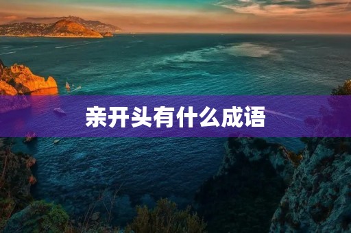 亲开头有什么成语