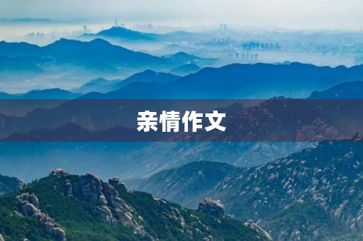 亲情作文