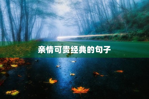 亲情可贵经典的句子(亲情可贵经典的句子朋友圈) 亲情可贵经典的句子(亲情可贵经典的句子朋友圈)