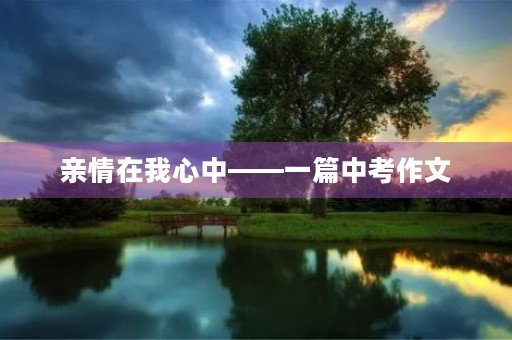 亲情在我心中——一篇中考作文 亲情在我心中——一篇中考作文