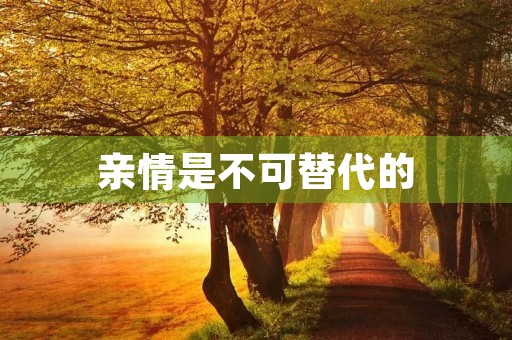 亲情是不可替代的