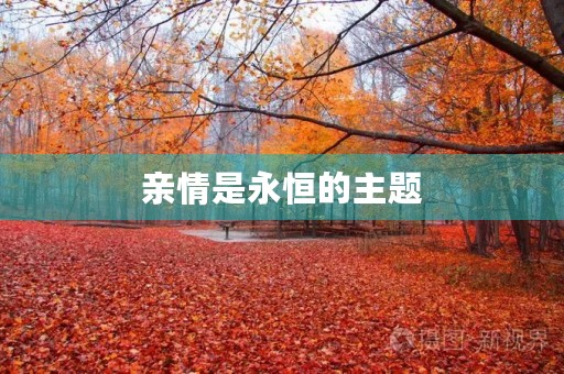 亲情是永恒的主题