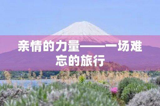亲情的力量——一场难忘的旅行 亲情的力量——一场难忘的旅行