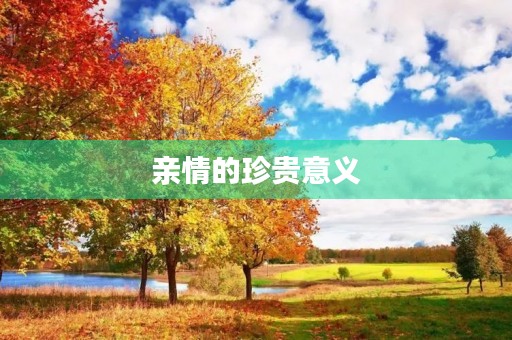 亲情的珍贵意义 亲情的珍贵意义