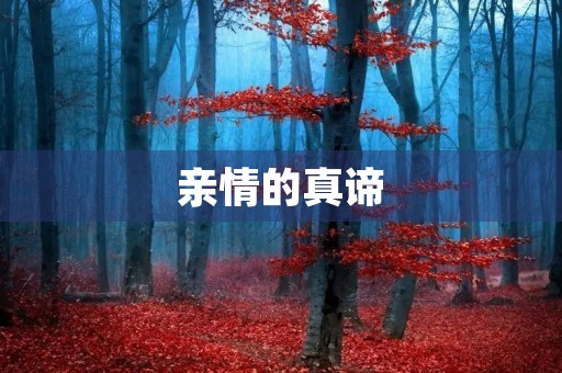 亲情的真谛 亲情的真谛