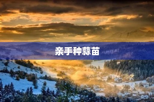 亲手种蒜苗 亲手种蒜苗