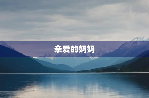 亲爱的妈妈,我想对您说…… 亲爱的妈妈,我想对您说……