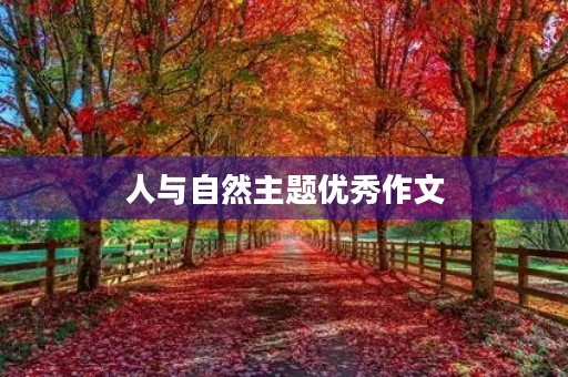 人与自然主题优秀作文