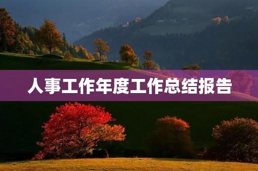 人事工作年度工作总结报告