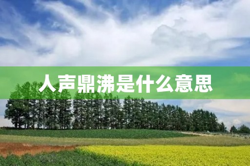 人声鼎沸是什么意思 人声鼎沸是什么意思