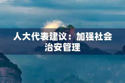 人大代表建议：加强社会治安管理