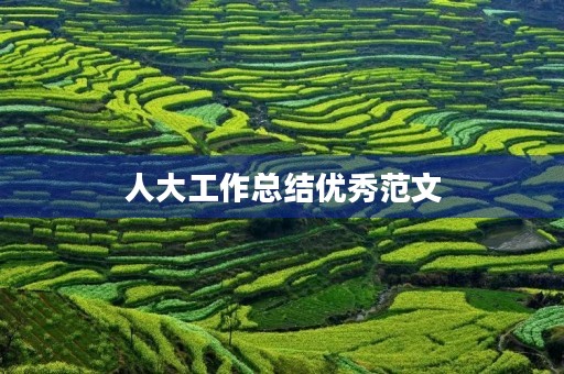人大工作总结优秀范文