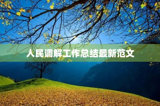 人民调解工作总结最新范文
