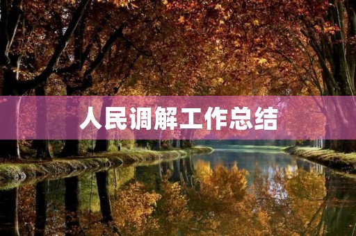 人民调解工作总结