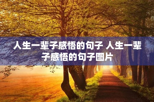 人生一辈子感悟的句子 人生一辈子感悟的句子图片