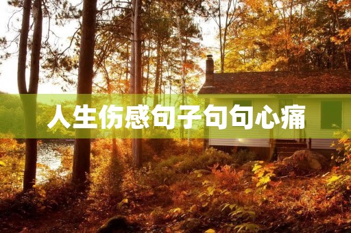 人生伤感句子句句心痛(人生伤感句子句句心痛图片)