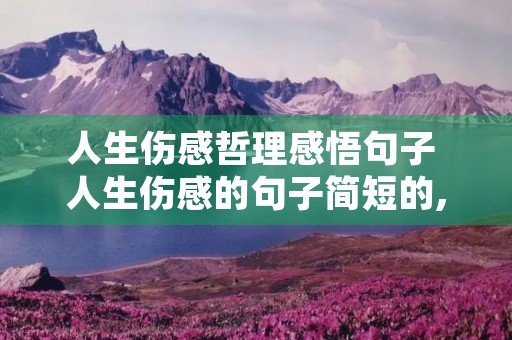 人生伤感哲理感悟句子 人生伤感的句子简短的,句句精辟现实 人生伤感哲理感悟句子 人生伤感的句子简短的,句句精辟现实