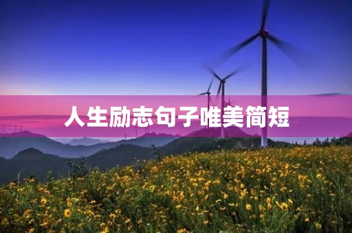 人生励志句子唯美简短(人生励志句子唯美简短图片)