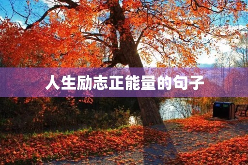 人生励志正能量的句子(人生励志的正能量句子8字短句)