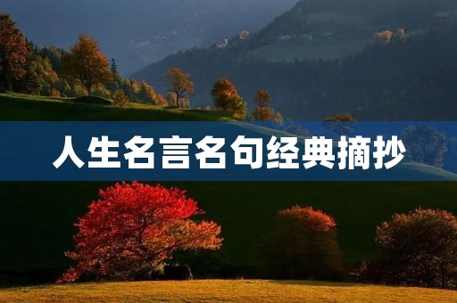 人生名言名句经典摘抄(人生名言名句经典摘抄积极乐观)