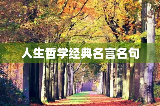 人生哲学经典名言名句(人生哲学经典名言名句及解释)