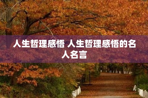 人生哲理感悟 人生哲理感悟的名人名言 人生哲理感悟 人生哲理感悟的名人名言