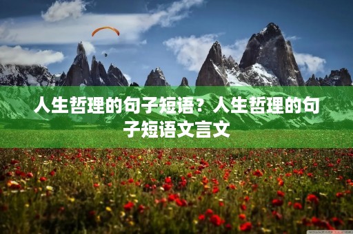 人生哲理的句子短语？人生哲理的句子短语文言文