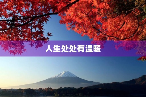 人生处处有温暖