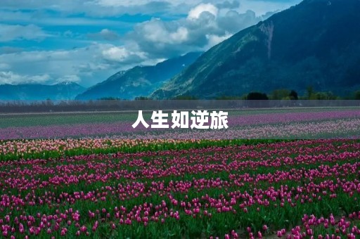人生如逆旅，我行我素