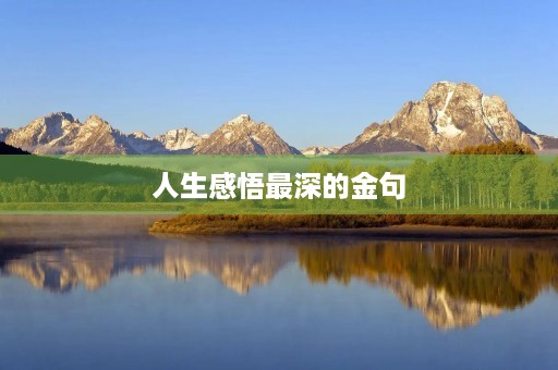 人生感悟最深的金句(人生感悟 ：致自己 !(精辟))