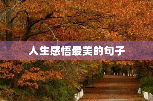 人生感悟最美的句子(人生感悟最美的句子简短一点) 人生感悟最美的句子(人生感悟最美的句子简短一点)