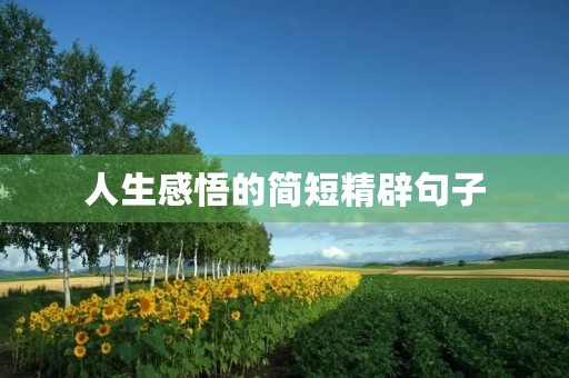 人生感悟的简短精辟句子,人生感悟的简短精辟句子图片 人生感悟的简短精辟句子,人生感悟的简短精辟句子图片