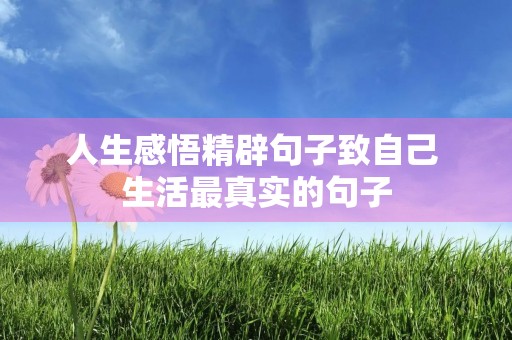 人生感悟精辟句子致自己 生活最真实的句子 人生感悟精辟句子致自己 生活最真实的句子