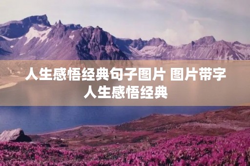 人生感悟经典句子图片 图片带字人生感悟经典 人生感悟经典句子图片 图片带字人生感悟经典