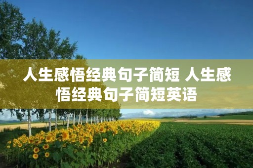 人生感悟经典句子简短 人生感悟经典句子简短英语 人生感悟经典句子简短 人生感悟经典句子简短英语